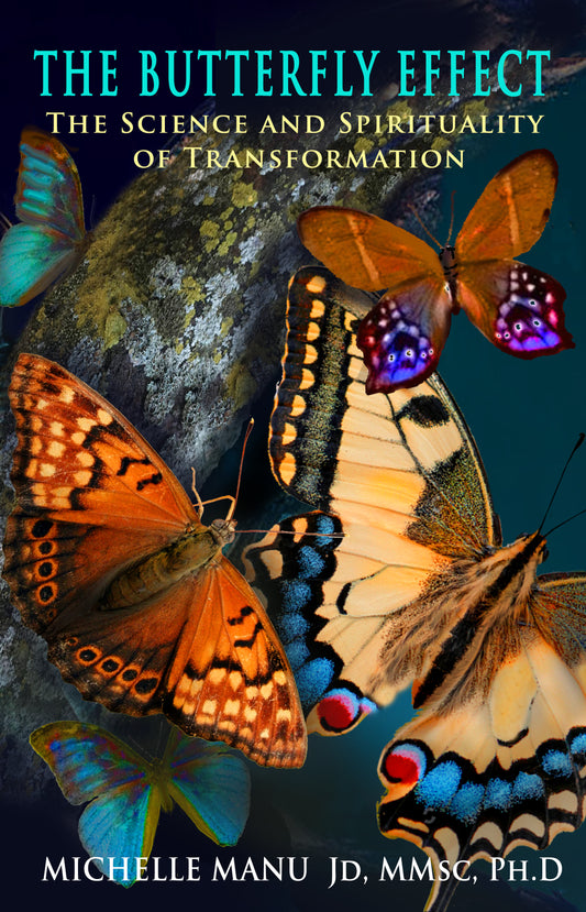 Book: The Butterfly Effect: The Science and Spirituality of Transformation